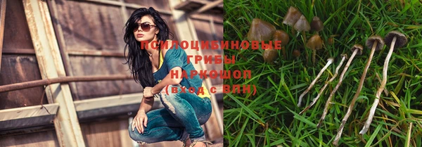 прущая мука Абинск